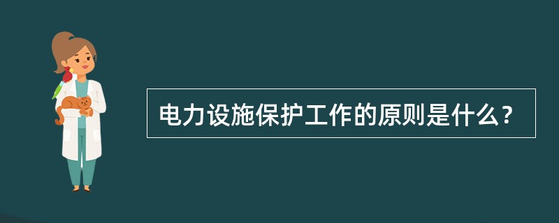 电力设施保护工作的原则是什么？