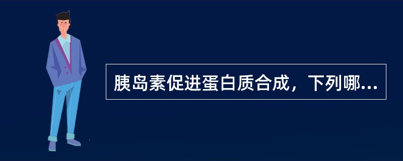 胰岛素促进蛋白质合成，下列哪一项不正确（）