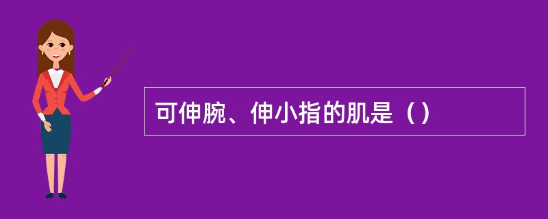 可伸腕、伸小指的肌是（）