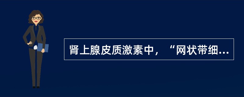 肾上腺皮质激素中，“网状带细胞分泌，如脱氢雄酮和雌二醇”属于（）