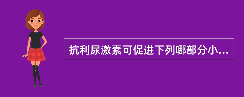 抗利尿激素可促进下列哪部分小管重吸收水（）