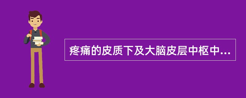 疼痛的皮质下及大脑皮层中枢中，第二感觉区（SⅡ），即中央后回的最下部、中央前回与