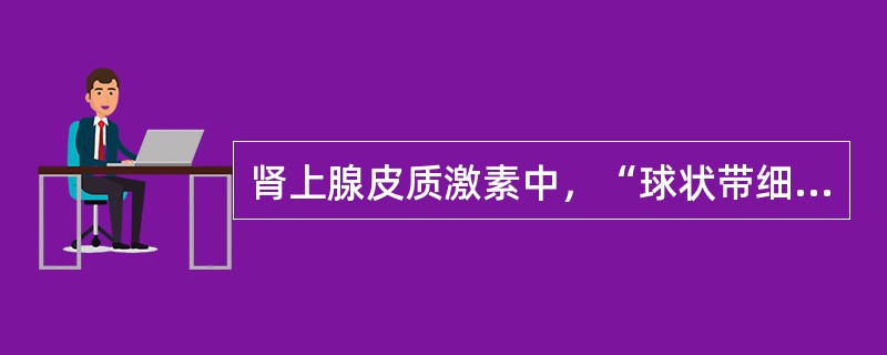 肾上腺皮质激素中，“球状带细胞分泌，主要是醛固酮”属于（）