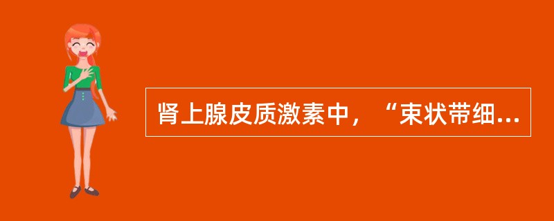 肾上腺皮质激素中，“束状带细胞分泌，主要是皮质醇”属于（）