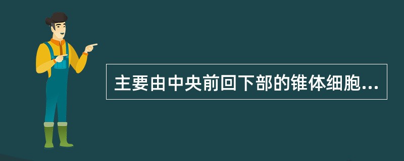 主要由中央前回下部的锥体细胞的轴突集合而成（）