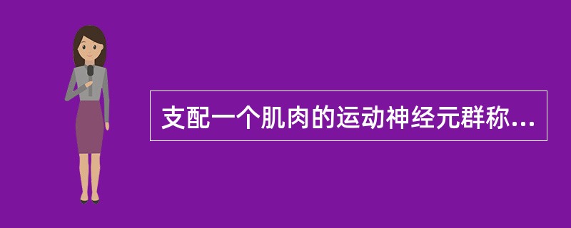 支配一个肌肉的运动神经元群称为（）