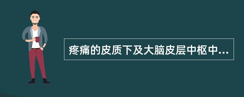 疼痛的皮质下及大脑皮层中枢中，第一感觉区（SI），即中央后回的1、2、3区，主要