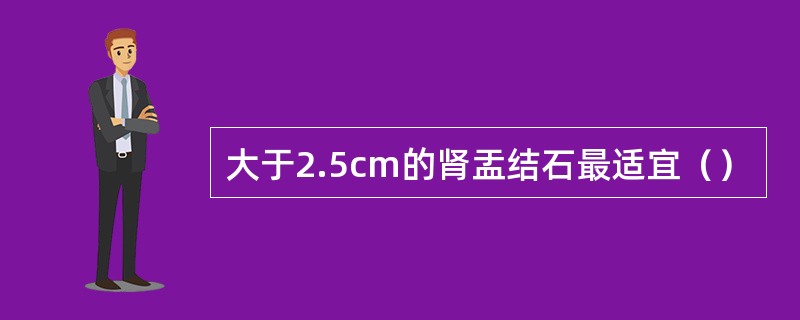 大于2.5cm的肾盂结石最适宜（）