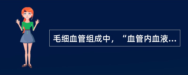 毛细血管组成中，“血管内血液和血管外组织液进行物质交换的场所”属于（）