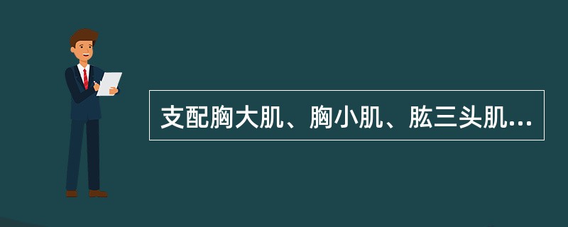 支配胸大肌、胸小肌、肱三头肌和拇指对掌肌的脊神经是（）