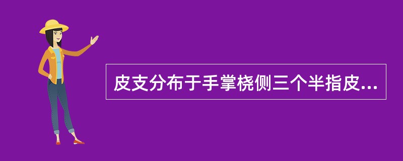 皮支分布于手掌桡侧三个半指皮肤内侧的神经是（）