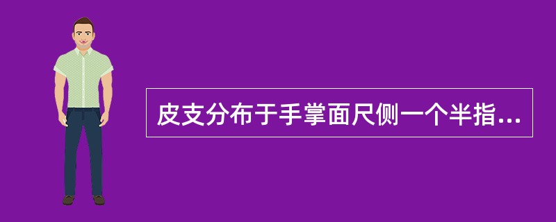 皮支分布于手掌面尺侧一个半指和手背面尺侧两个半手指的皮肤的神经是（）