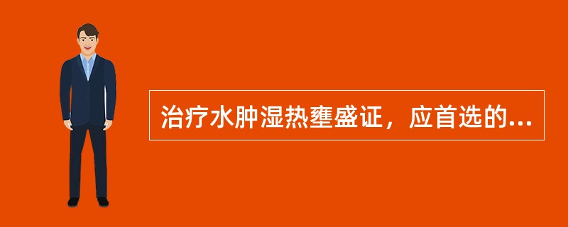 治疗水肿湿热壅盛证，应首选的方剂是（）。