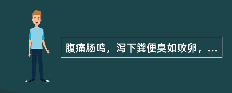 腹痛肠鸣，泻下粪便臭如败卵，伴有不消化食物，泻后痛减，脘腹痞满，不思饮食，舌苔垢