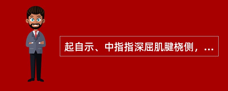 起自示、中指指深屈肌腱桡侧，止于第2～5指第一节指骨背面及指背腱膜的肌是（）