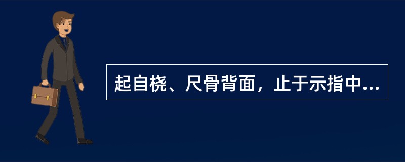 起自桡、尺骨背面，止于示指中节指骨的肌是（）