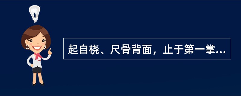 起自桡、尺骨背面，止于第一掌骨底的肌是（）