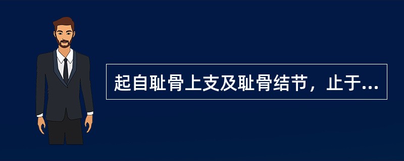 起自耻骨上支及耻骨结节，止于股骨粗线的肌是（）