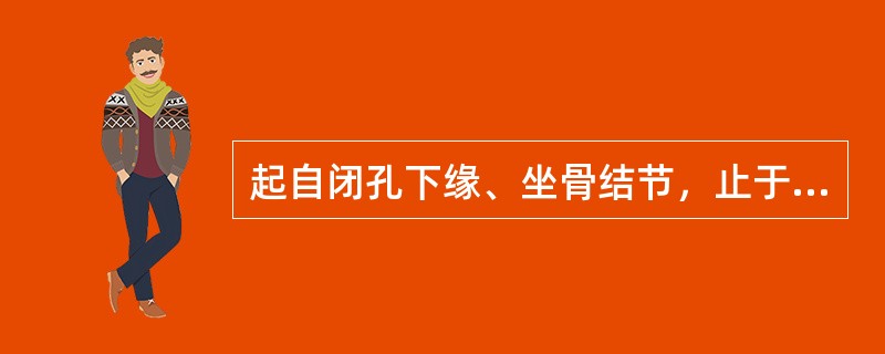 起自闭孔下缘、坐骨结节，止于股骨粗线的肌是（）