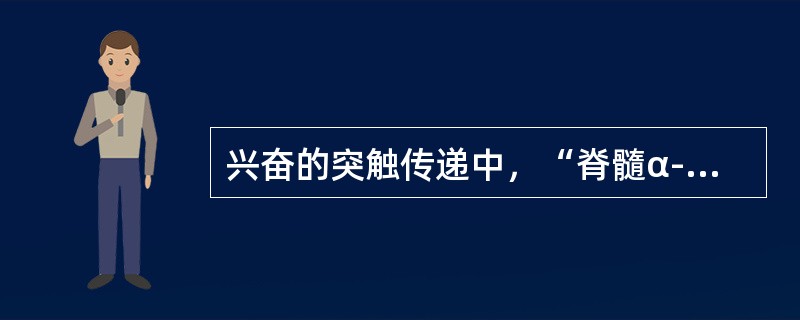 兴奋的突触传递中，“脊髓α-运动神经元与来自它所支配的肌肉的初级传入纤维形成兴奋