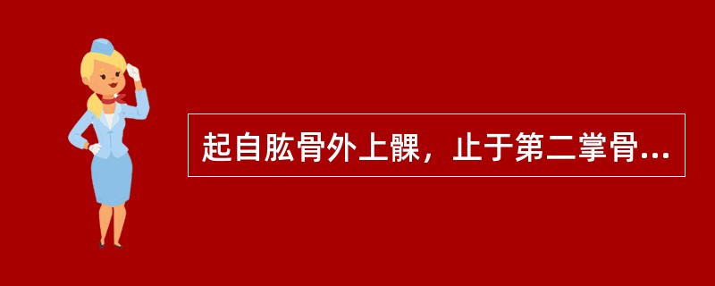 起自肱骨外上髁，止于第二掌骨底背面的肌是（）