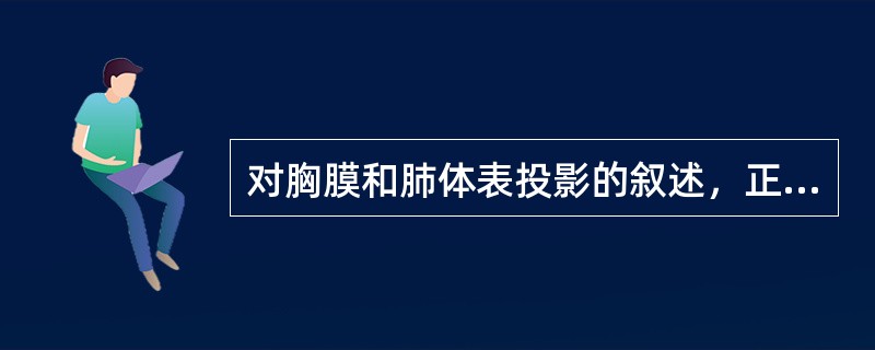 对胸膜和肺体表投影的叙述，正确的是()