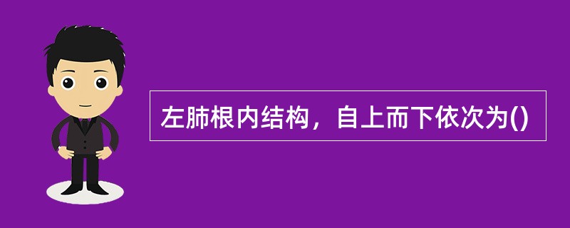 左肺根内结构，自上而下依次为()