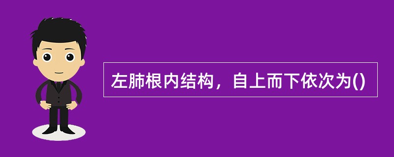 左肺根内结构，自上而下依次为()