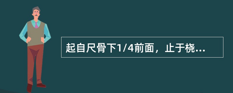 起自尺骨下1/4前面，止于桡骨下1/4前面的肌是（）