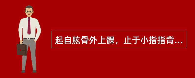 起自肱骨外上髁，止于小指指背腱膜的肌是（）