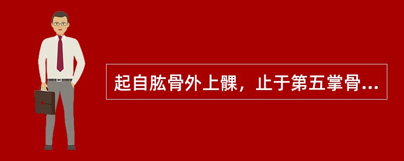 起自肱骨外上髁，止于第五掌骨底的肌是（）