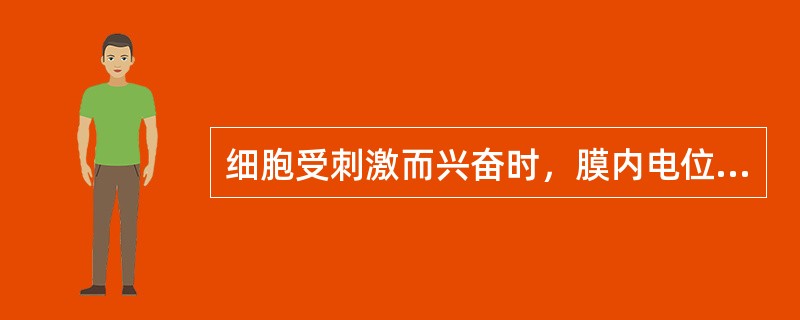 细胞受刺激而兴奋时，膜内电位负值减少叫做（）。