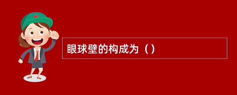 眼球壁的构成为（）