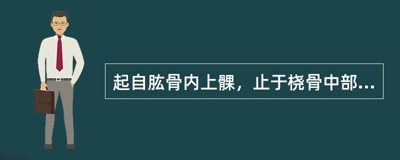 起自肱骨内上髁，止于桡骨中部前外侧面的肌是（）