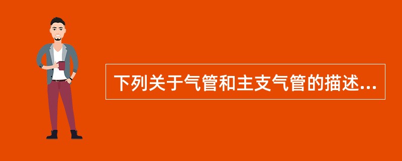 下列关于气管和主支气管的描述正确的是（）。