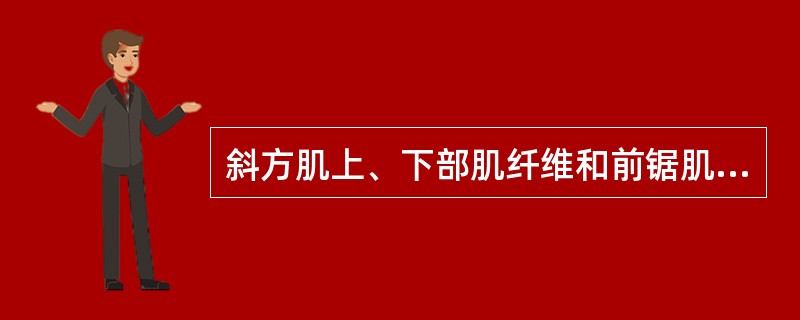 斜方肌上、下部肌纤维和前锯肌下部肌纤维可以使肩胛骨（）