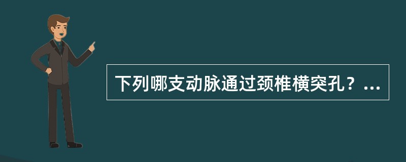 下列哪支动脉通过颈椎横突孔？（）