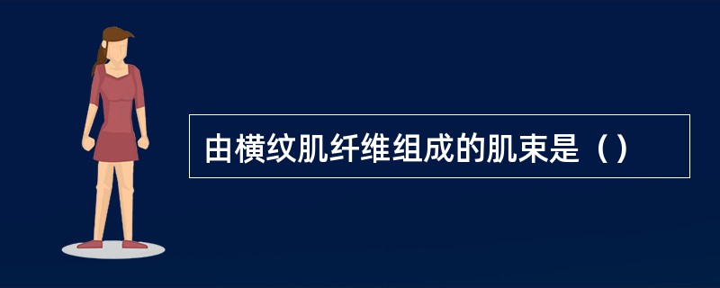 由横纹肌纤维组成的肌束是（）