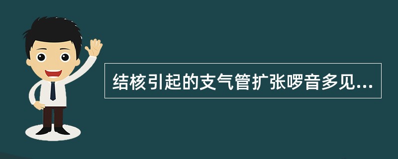 结核引起的支气管扩张啰音多见于（）。