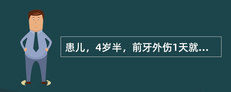 患儿，4岁半，前牙外伤1天就诊。检查见冠折，露髓，探痛明显，叩（+）。如果患儿在