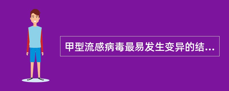 甲型流感病毒最易发生变异的结构是（）