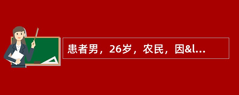 患者男，26岁，农民，因“高热、头痛10天”入院。查体：