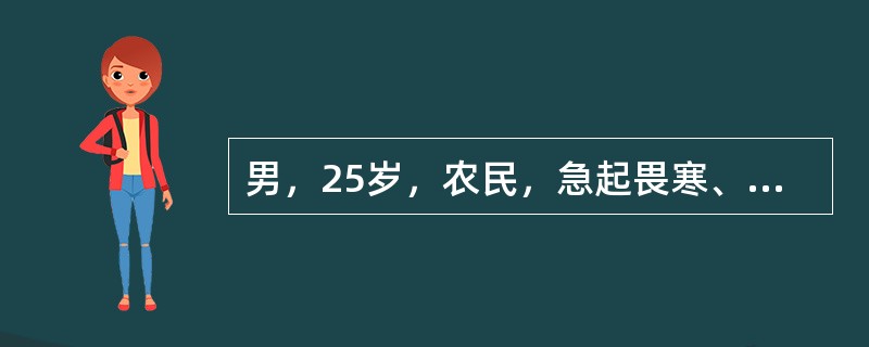 男，25岁，农民，急起畏寒、高热、全身酸痛6天，烦躁不安、气促1天，8月3日入院