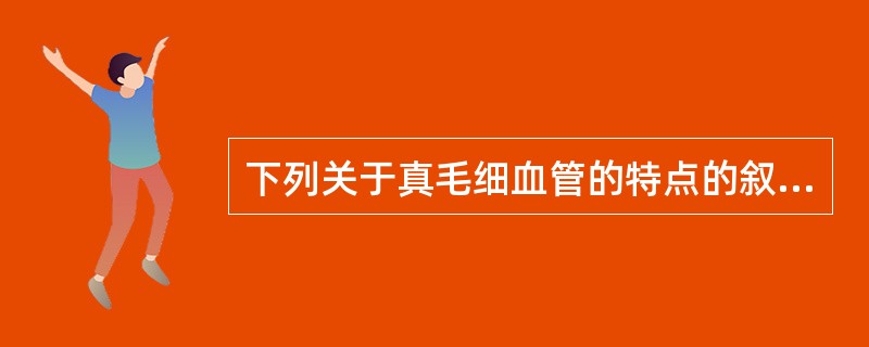 下列关于真毛细血管的特点的叙述不正确的是（）