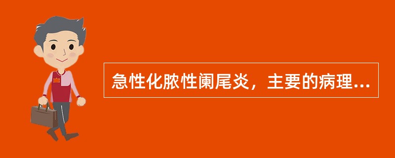 急性化脓性阑尾炎，主要的病理改变是指（）。