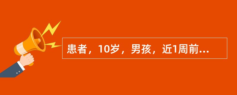 患者，10岁，男孩，近1周前出现食欲不振、恶心、呕吐，活动减少，伴有发热，体温在