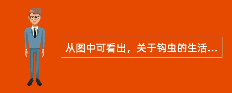 从图中可看出，关于钩虫的生活史，下列哪项是不正确的（）