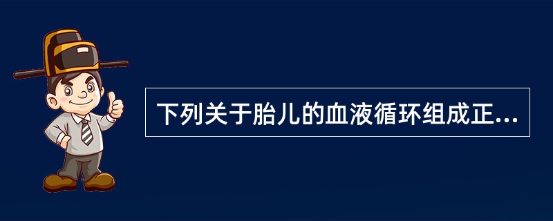 下列关于胎儿的血液循环组成正确的是（）