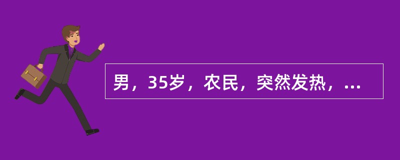 男，35岁，农民，突然发热，伴腹痛、腹泻、解粘冻样便，恶心、胃纳减退、疲乏2天，