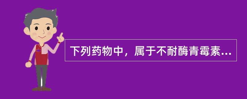 下列药物中，属于不耐酶青霉素的是（）